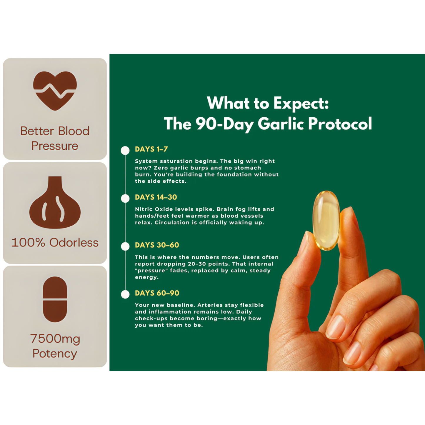 Aged Garlic Extract - 7500mg Odorless Softgels