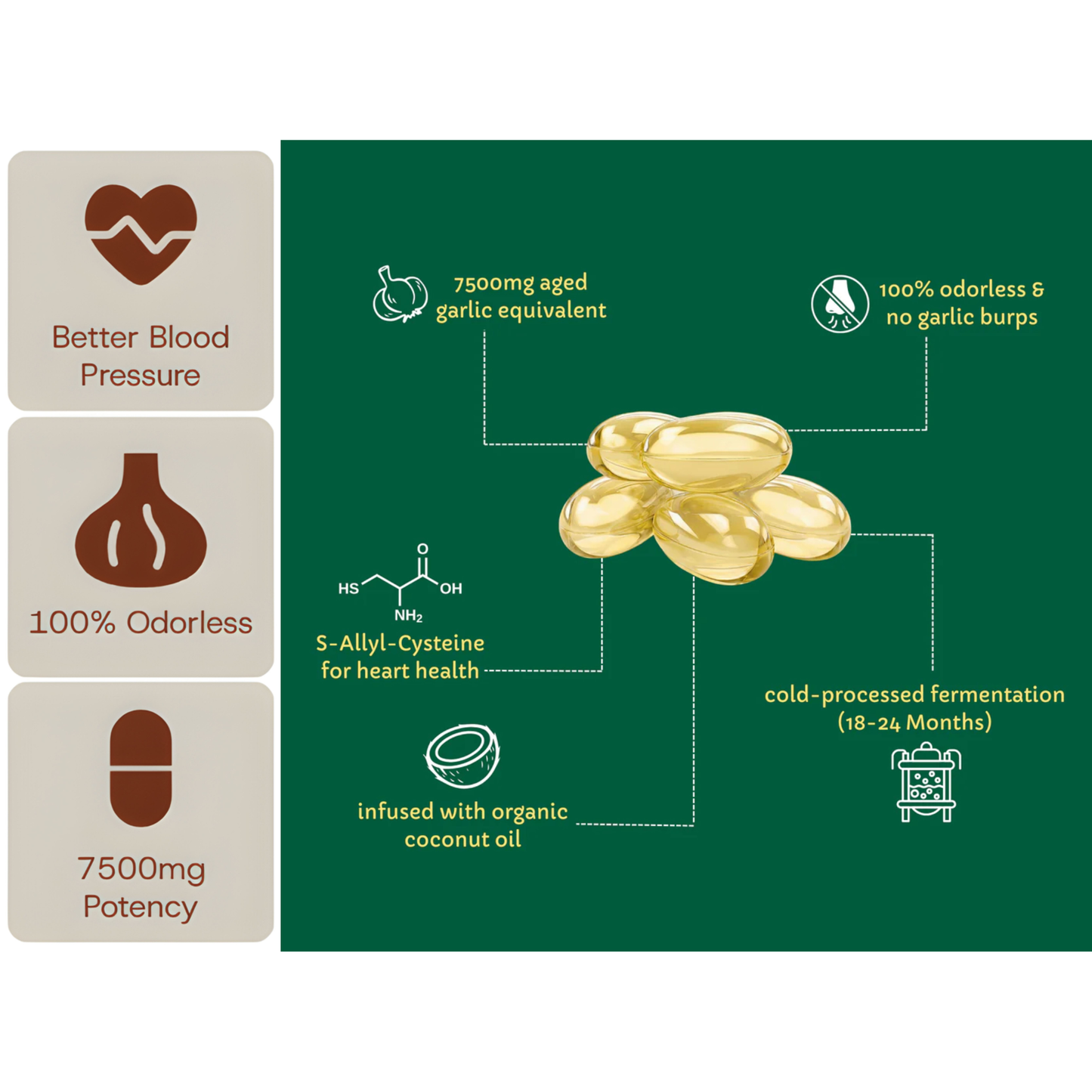 Aged Garlic Extract - 7500mg Odorless Softgels